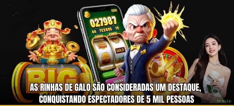 Cassino ao vivo da bravip com dealers reais